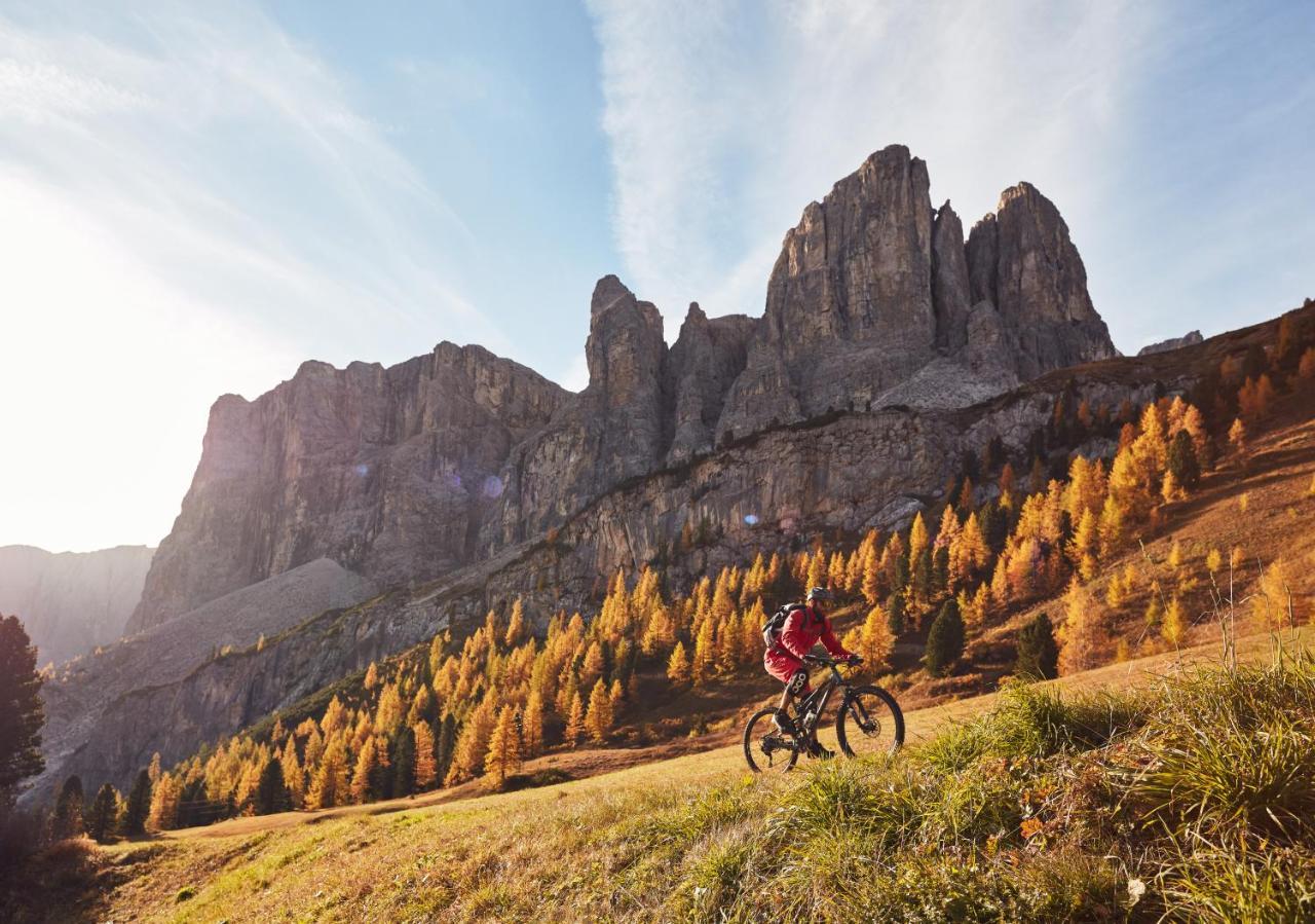 Chalet Elisabeth Dolomites Alpin & Charme Hotell Selva di Val Gardena Eksteriør bilde