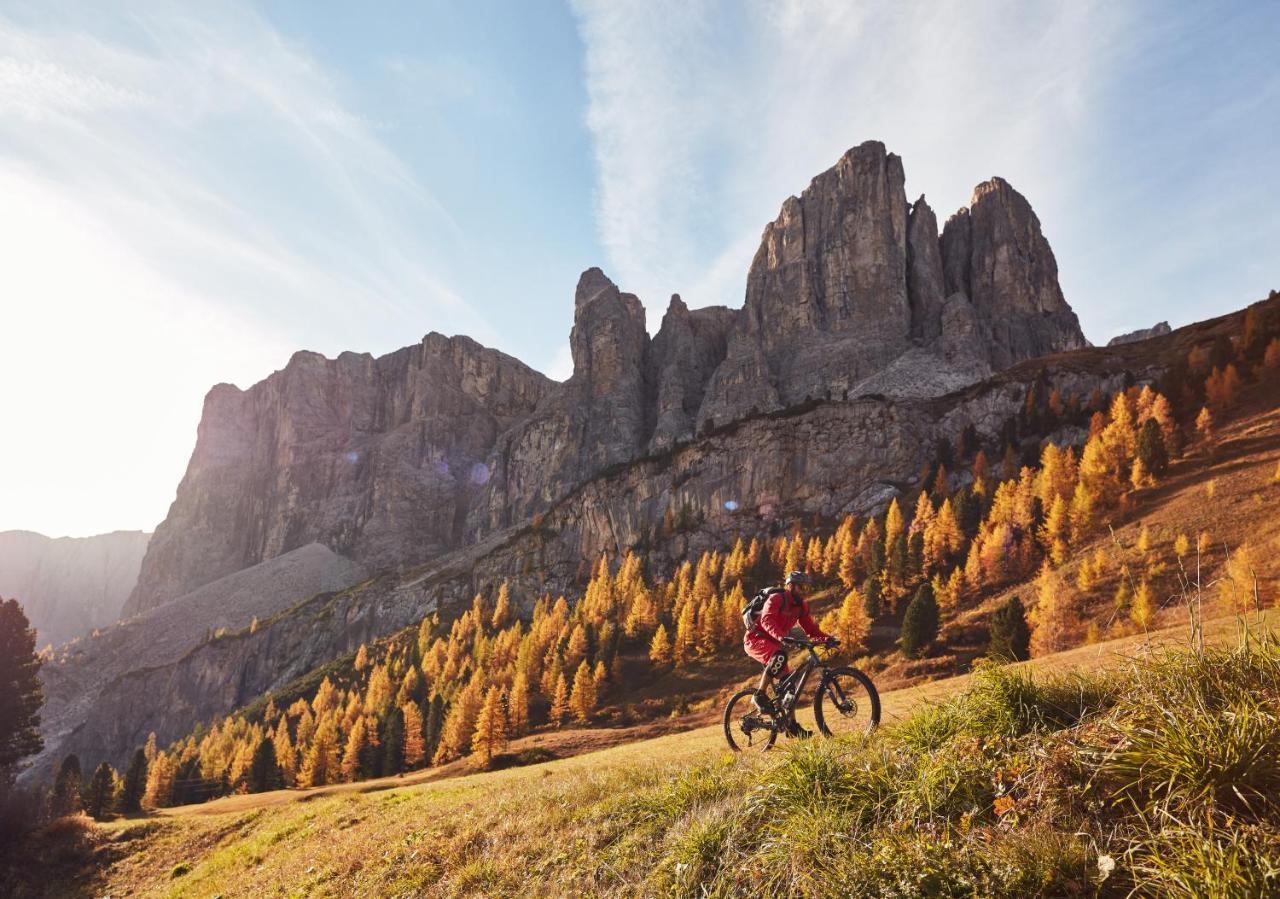 Chalet Elisabeth Dolomites Alpin & Charme Selva di Val Gardena Eksteriør bilde