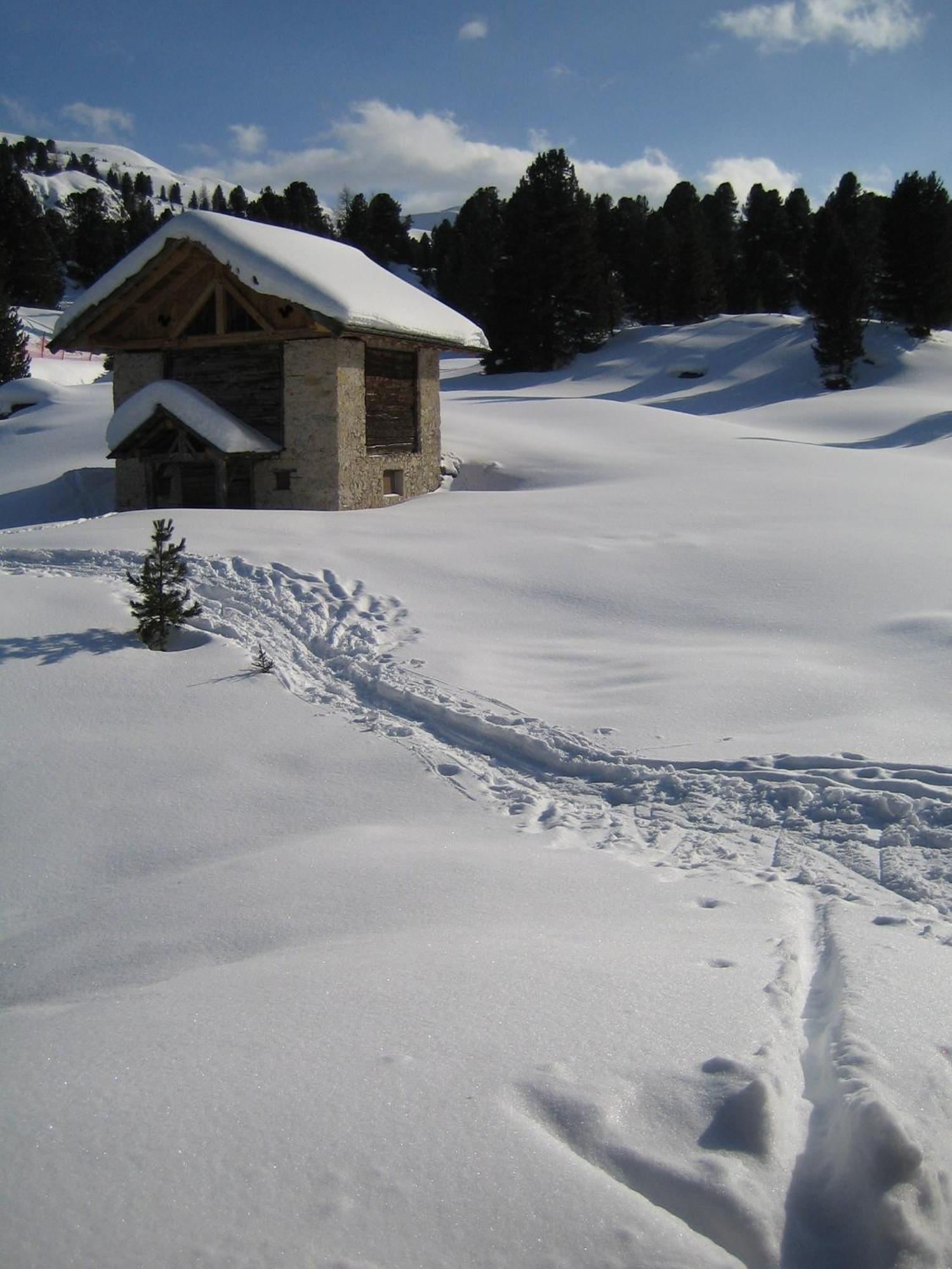 Chalet Elisabeth Dolomites Alpin & Charme Hotell Selva di Val Gardena Eksteriør bilde