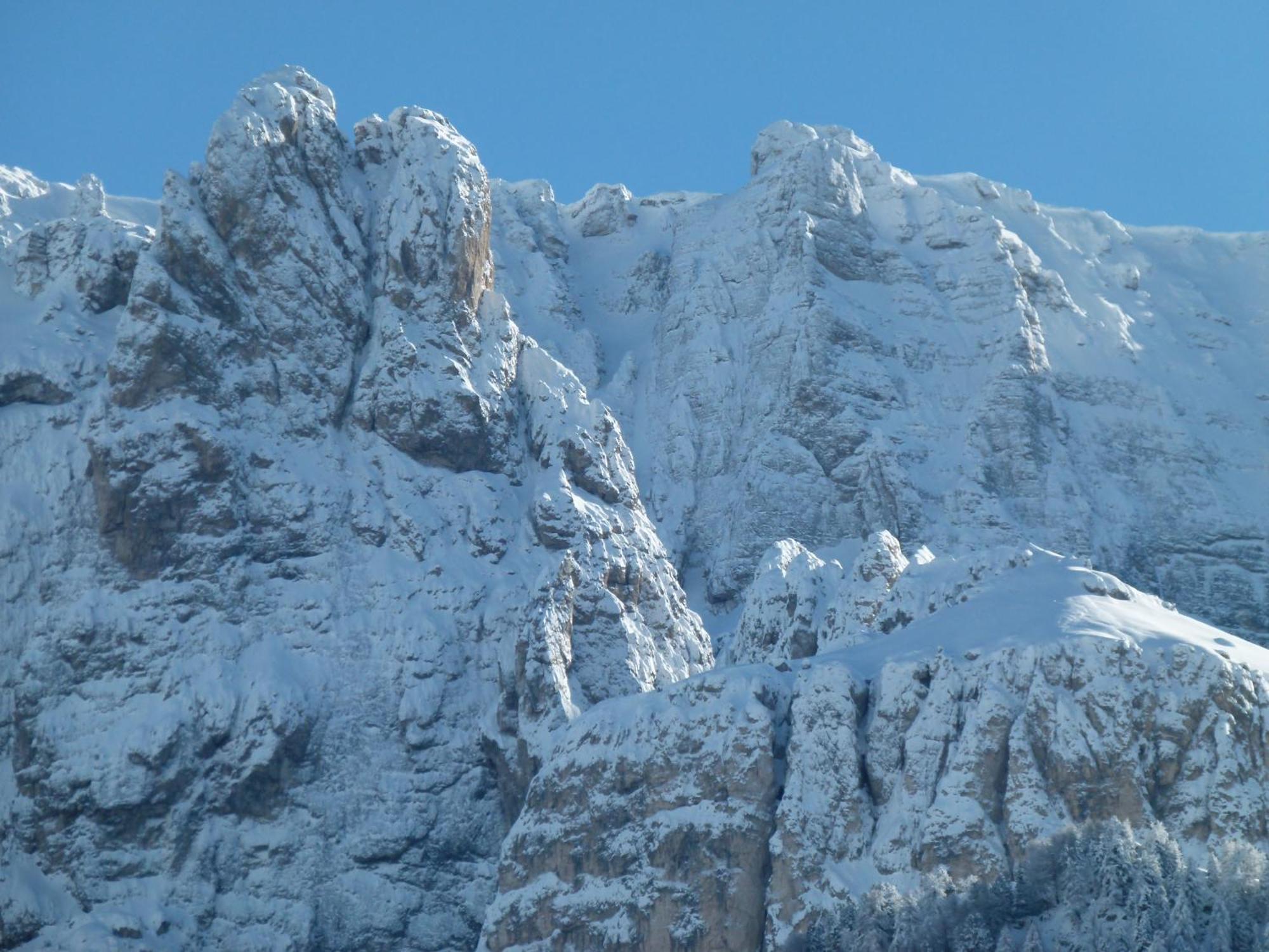 Chalet Elisabeth Dolomites Alpin & Charme Selva di Val Gardena Eksteriør bilde