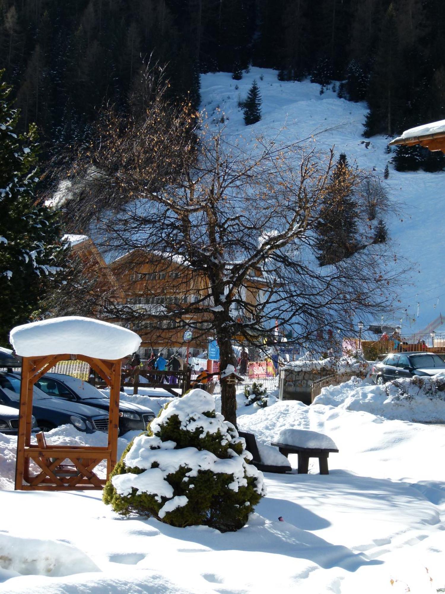 Chalet Elisabeth Dolomites Alpin & Charme Hotell Selva di Val Gardena Eksteriør bilde