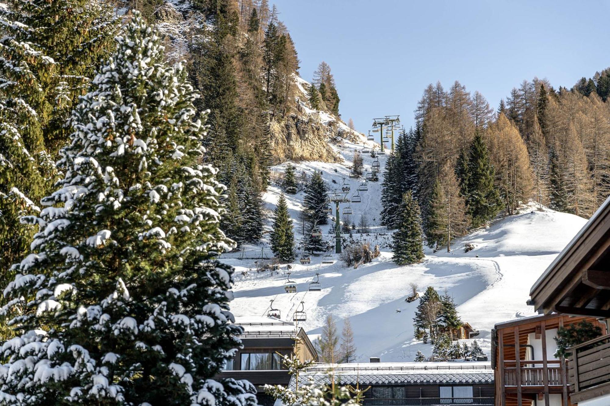 Chalet Elisabeth Dolomites Alpin & Charme Selva di Val Gardena Eksteriør bilde